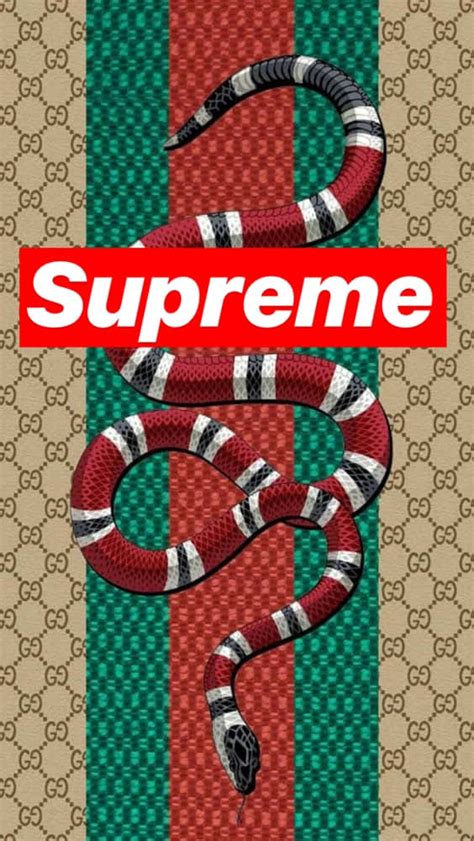 gucci with supreme box logo|gucci supreme crossbody.